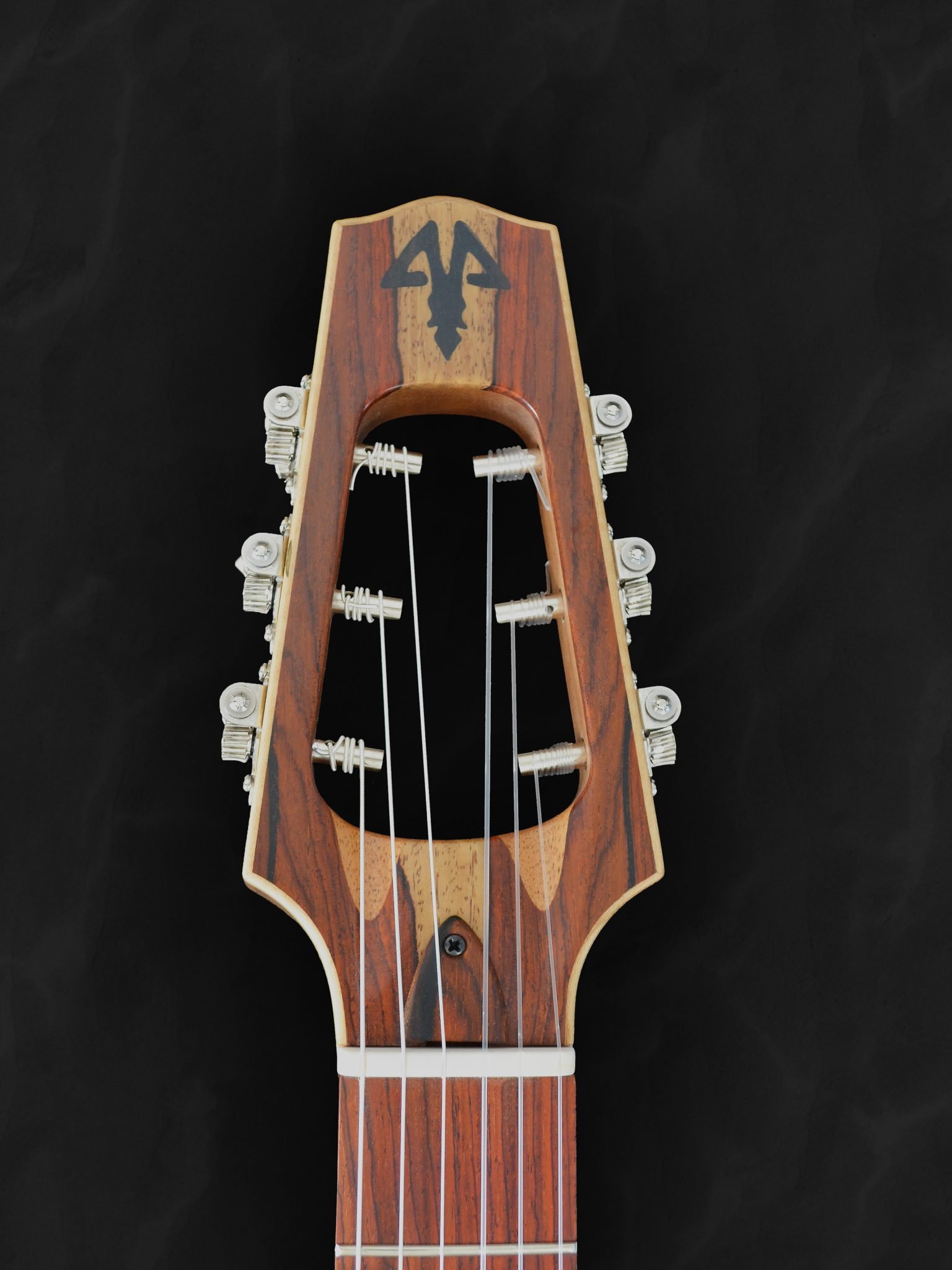 Guitare classique auditorium nylon sur mesure en cèdre rouge