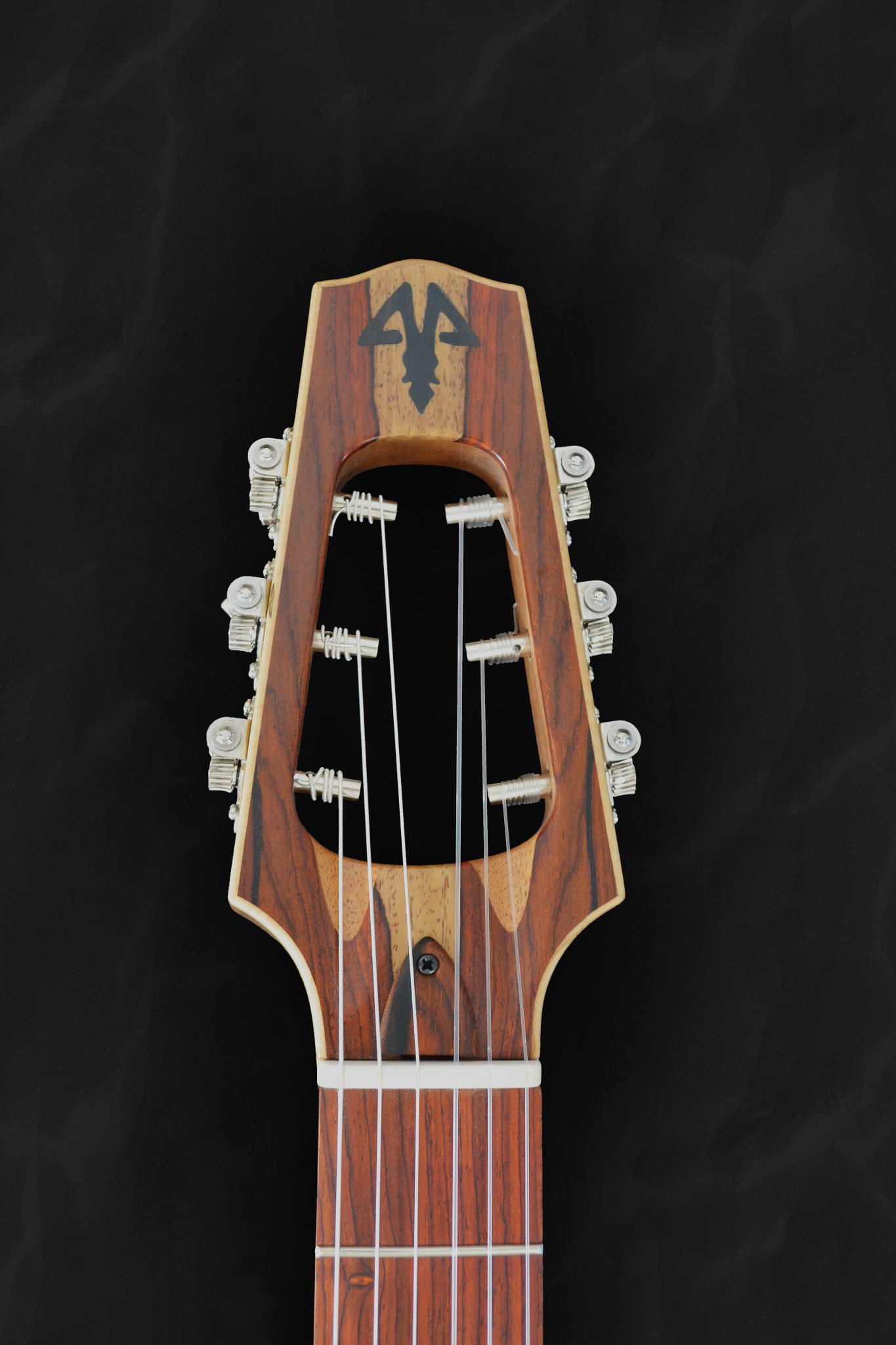 Guitare classique auditorium nylon sur mesure en cèdre rouge